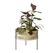 Planters