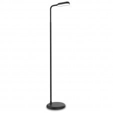 Read Wireless LED Floor Lamp | Black