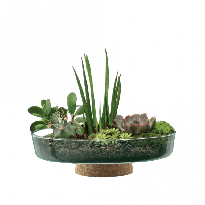 LSA International Canopy Re-cycled Glass Planting Bowl with Cork Base 28cm