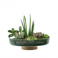 Canopy Re-cycled Glass Planting Bowl with Cork Base 28cm
