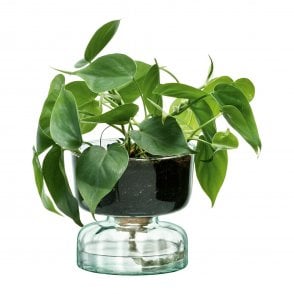 Canopy Self Watering Planter - 13cm