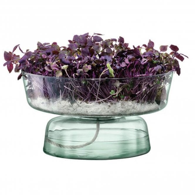 LSA International Canopy Self Watering Planter - 14.5cm