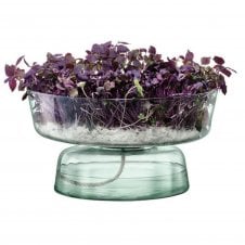Canopy Self Watering Planter - 14.5cm