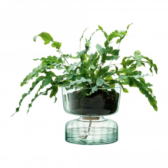 LSA International Canopy Self Watering Planter - 22cm