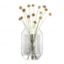 Rotunda Lantern/Vase | H26cm | Clear