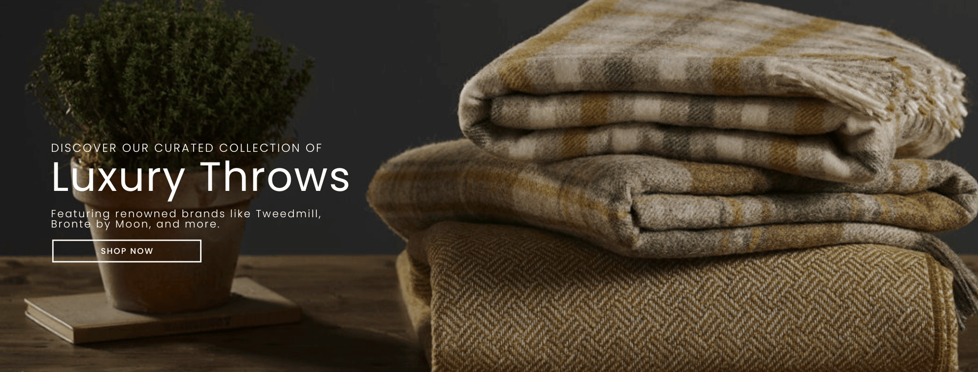 Shop Throws