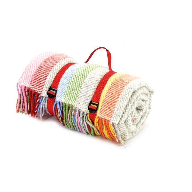 Tweedmill Textiles Polo Picnic Rug with Waterproof Backing | Rainbow Grey Stripe