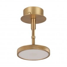 Asteria Spot Ceiling/Wall Lamp