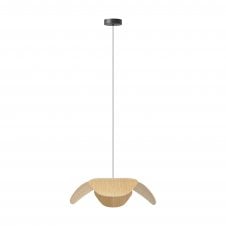 Forget Me Not Pendant Shade with Rosette Mini Canopy | Large