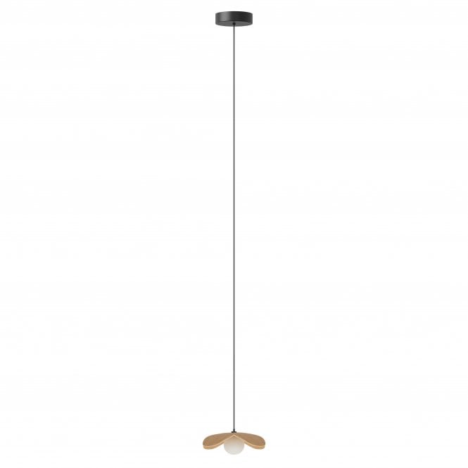 Umage Forget Me Not Pendant Shade with Rosette Mini Canopy | Mini