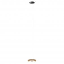 Forget Me Not Pendant Shade with Rosette Mini Canopy | Mini