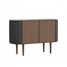 Treasures 2 Door Cabinet in Dark Oak | Shadow